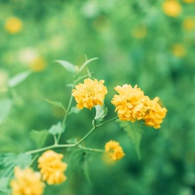 违停被贴不干胶 车主称方式太粗暴